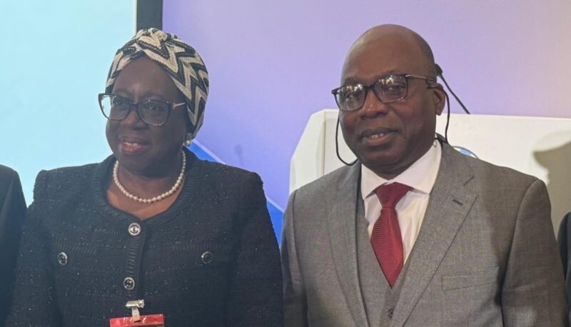 Tackle cross-border crimes now, FIRS chairperson tells global leaders at UK summit