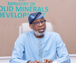 FG revokes 1,263 mineral licenses