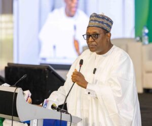 Health Investment Essential For Nigeria’s Economic Growth- Pate