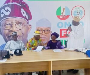 2027: Ondo APC Elders Movement Promises 1.5m Votes For Tinubu