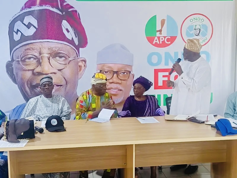 2027: Ondo APC Elders Movement Promises 1.5m Votes For Tinubu
