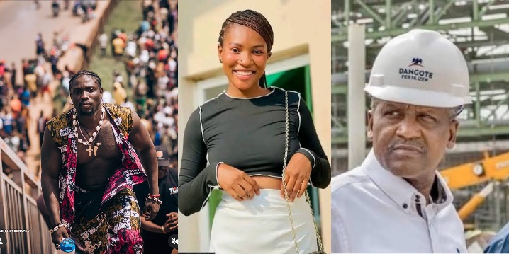 Dangote, Tinubu, Social Media Influencers Failed Ruth Otabor – VeryDarkMan
