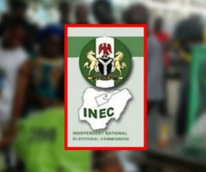 Mass voter registration shows Nigerians trust electoral process