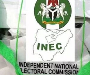 Yoruba, Northern Groups Fault ADC, PDP Allegations Against INEC