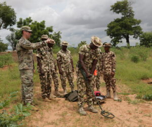 Nigeria must prevent dung being used for IED terror attacks