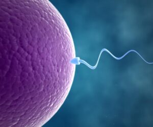 NIGERIA DAILY: Why Cases Of Male Infertility Are On The Rise