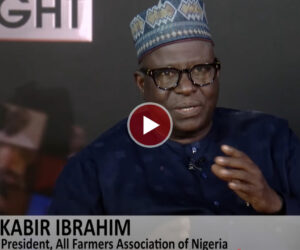 Kabir Ibrahim: Unless Fertiliser Costs Come Down, Farmers Cannot Produce and Sell at Lower Prices