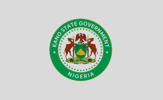 Kano drafts Inclusive employment policy to end private sector bias – Daily Trust