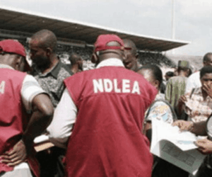 NDLEA arrests two drug kingpins with consignments of cocaine, heroin, meth in Lagos