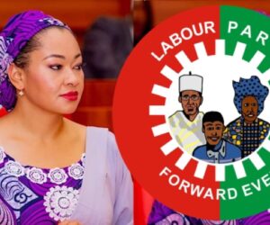 Labour Party, Rights Lawyers Demand Senate Reinstate Natasha Akpoti, Condemn Defiance of Court Order