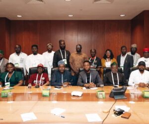 Lagos Drives National Digital Agenda, Brings ICT Commissioners Together at GITEX Africa | Tech | Business
