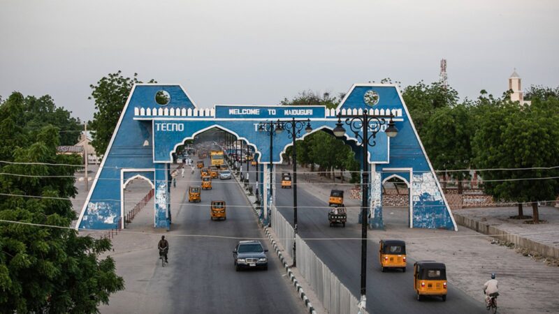 3 children found dead in father’s car in Borno – Daily Trust