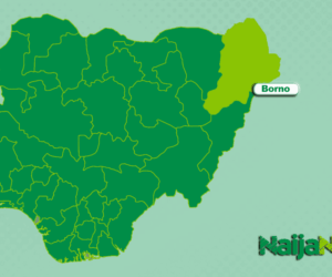 Insurgents Kill Two Soldiers, Nine-Year-Old Boy In Borno Attack