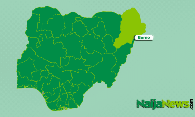 Insurgents Kill Two Soldiers, Nine-Year-Old Boy In Borno Attack