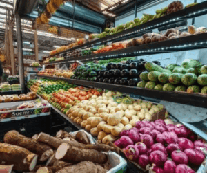 Sub-Saharan food security: Why youth still reject farming as business