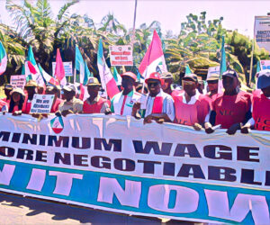 States have no excuse not to Pay beyond N70,000 — Employers Association