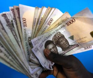 20 Govs Borrow ₦458 Billion In Six Months Despite Rising FAAC Allocations
