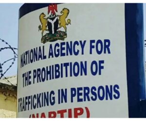 NAPTIP pledges collaboration with agencies to curb child trafficking in Niger State