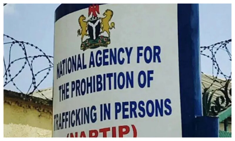 NAPTIP pledges collaboration with agencies to curb child trafficking in Niger State