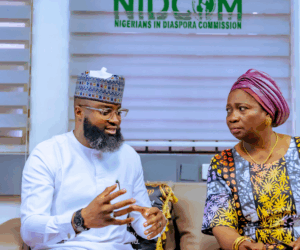 NASENI, NIDCOM Partner to Drive Diaspora Innovations | Tech | Business