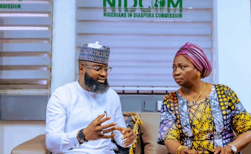 NASENI, NIDCOM Partner to Drive Diaspora Innovations | Tech | Business