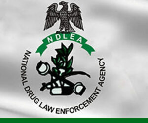NDLEA commissions sniffer dog facility to boost anti-drug fight