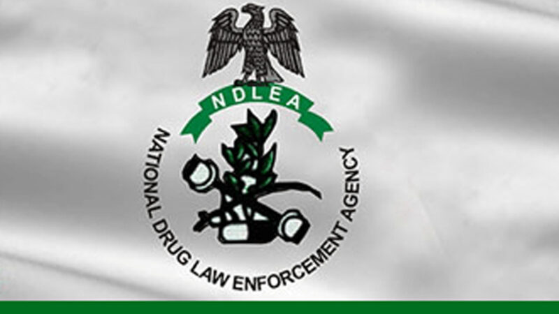 NDLEA commissions sniffer dog facility to boost anti-drug fight