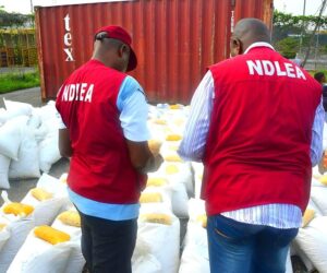 NDLEA Arrests 75-year-Old Grandpa With Illicit Drugs In Anambra