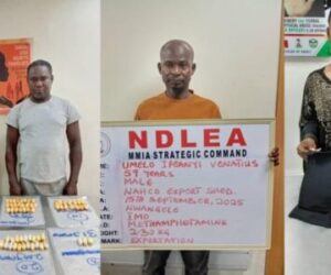 NDLEA Nabs Brazil Returnees With 116 Drug Wraps, Uncovers Businesswoman Concealing Meth In Underwear