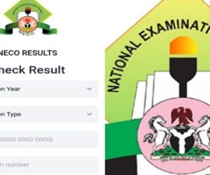 How to check your NECO 2025 result online and via SMS