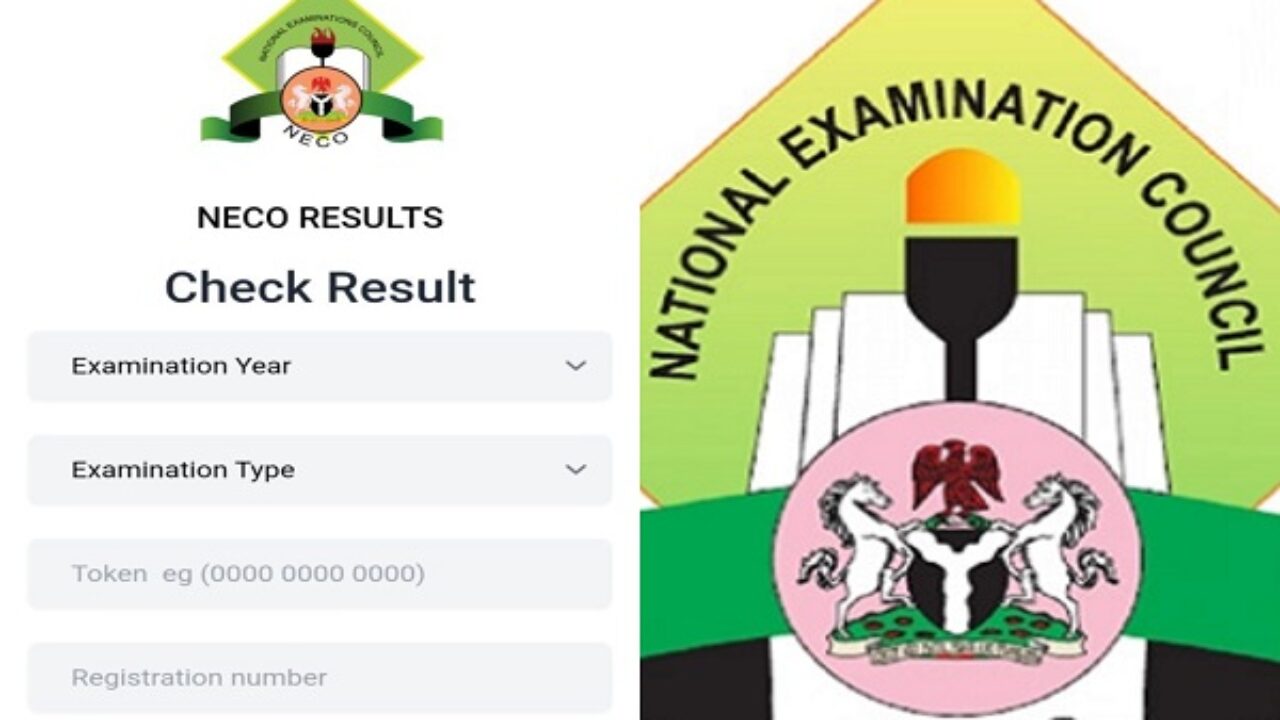 How to check your NECO 2025 result online and via SMS