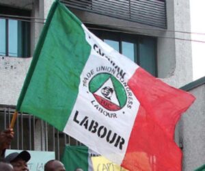 N70,000 minimum wage insufficient – Daily Trust