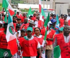 Textile Union disowns resignation of member from Edo NLC committee