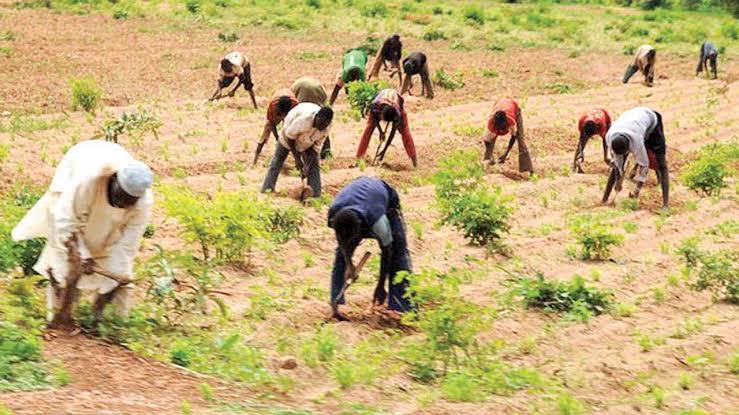 NSCDC, Army, Police Foil Repeated Attacks in Plateau, Over 4,000 Farmers Displaced