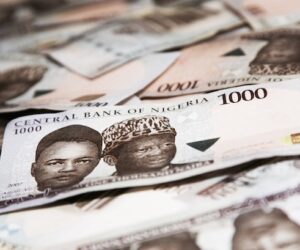 Borrow responsibly to improve lives, business environment, DMO tells states
