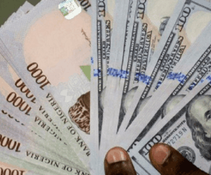 Naira hits seven-month high on $4.1bn reserves boost