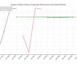 How the Naira’s freefall reshaped corporate and revived the capital market