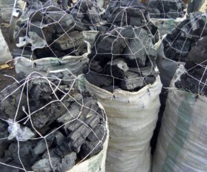 Illegal Charcoal Production Threatens Shea Trees in Kwara, Experts Raise Alarm – Daily Trust