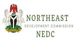 Fulani group hails NEDC’s transformative impact in North-east 