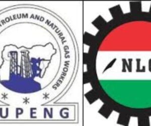 Dangote, NUPENG Face-off: NLC Seeks Tinubu’s Intervention