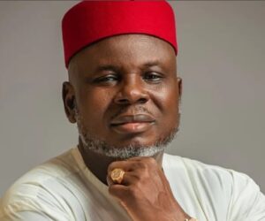Anambra Hospitals Are Glorified Mortuaries — Ukachukwu – Independent Newspaper Nigeria