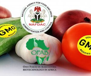Nigeria Plans to Label Genetically Modified Crops