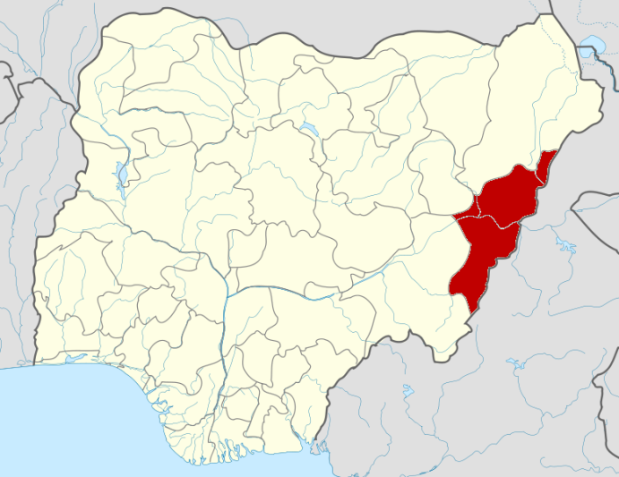 Strange flesh-eating disease reported in Adamawa
