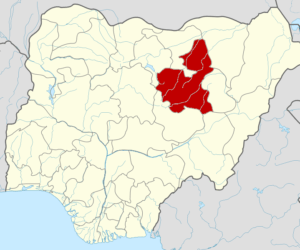 Bauchi uncovers 100 ghost workers in health sector, vows sanctions