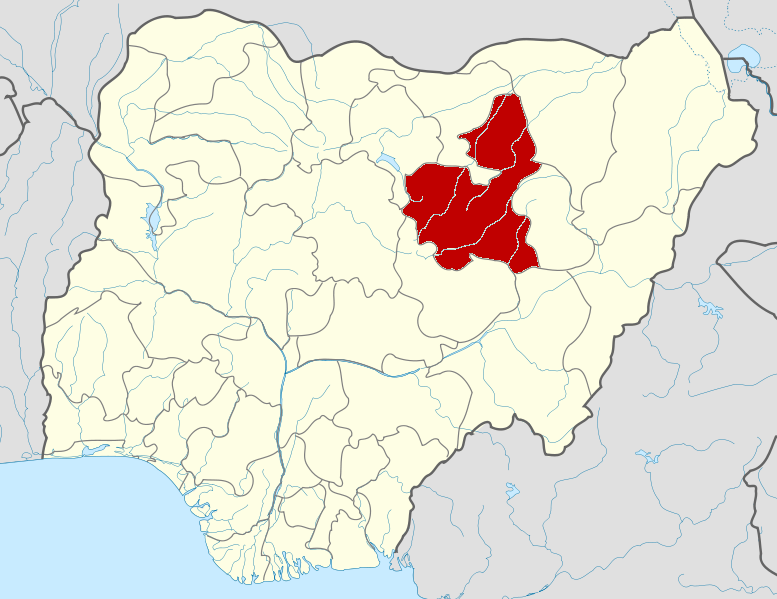 Bauchi uncovers 100 ghost workers in health sector, vows sanctions