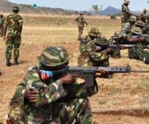 Nigerian Army Calls For Calm, Commences Shooting Range Training In Ibadan – Independent Newspaper Nigeria