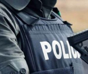 Police arrest three robbery suspects in Kano – The Sun Nigeria