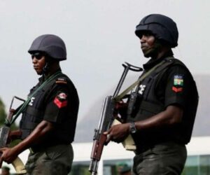 FCT Police arrest 11 suspected drug dealers, seize 68 bags of cannabis in Abuja raids