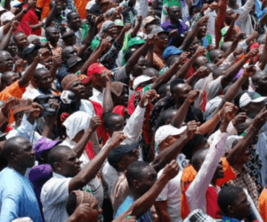 FG endorses Yoruba Youth Council, confirms Alawode as president