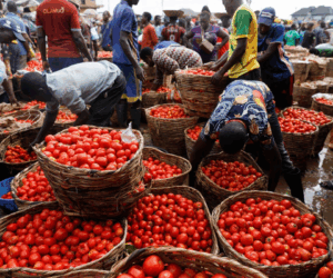 Nigeria’s Inflation Rate Falls to 20.12% in August, Fifth Consecutive Drop